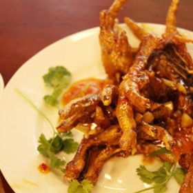 Chân gà quái thú